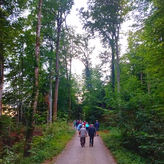 3 Morgenfrühwanderung 06.07.2025